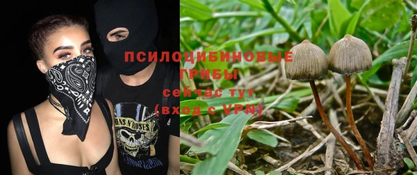 а пвп мука Арсеньев