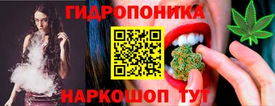 спиды Аша