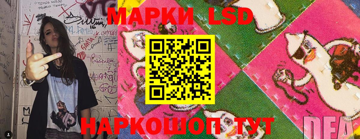 Балтийск  Наркотические марки 1,8мг  Наркотические марки  Наркотические марки 1,8мг  Вход с VPN 