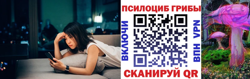 Псилоцибиновые грибы ЛСД  Балтийск 