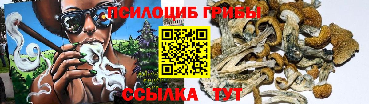 Псилоцибиновые грибы мухоморы Балтийск