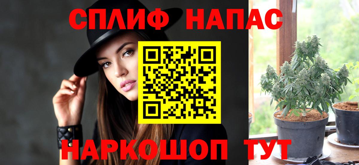 Канабис индика Балтийск